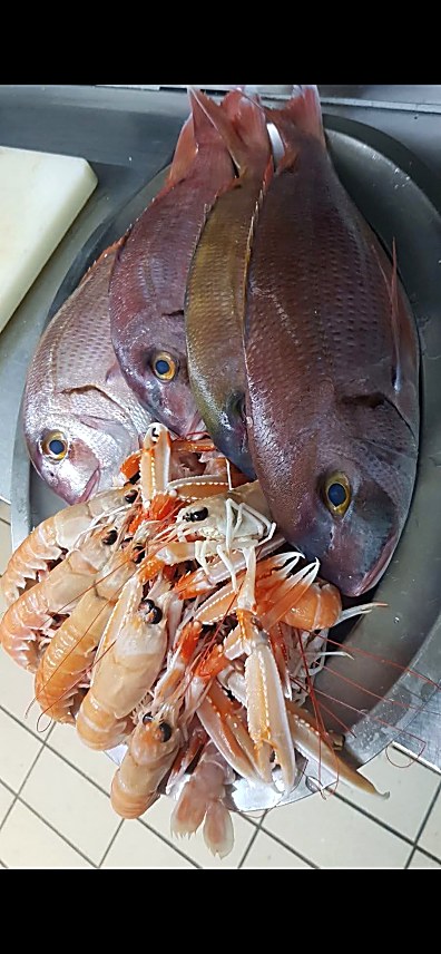 Fresh fish & langoustines