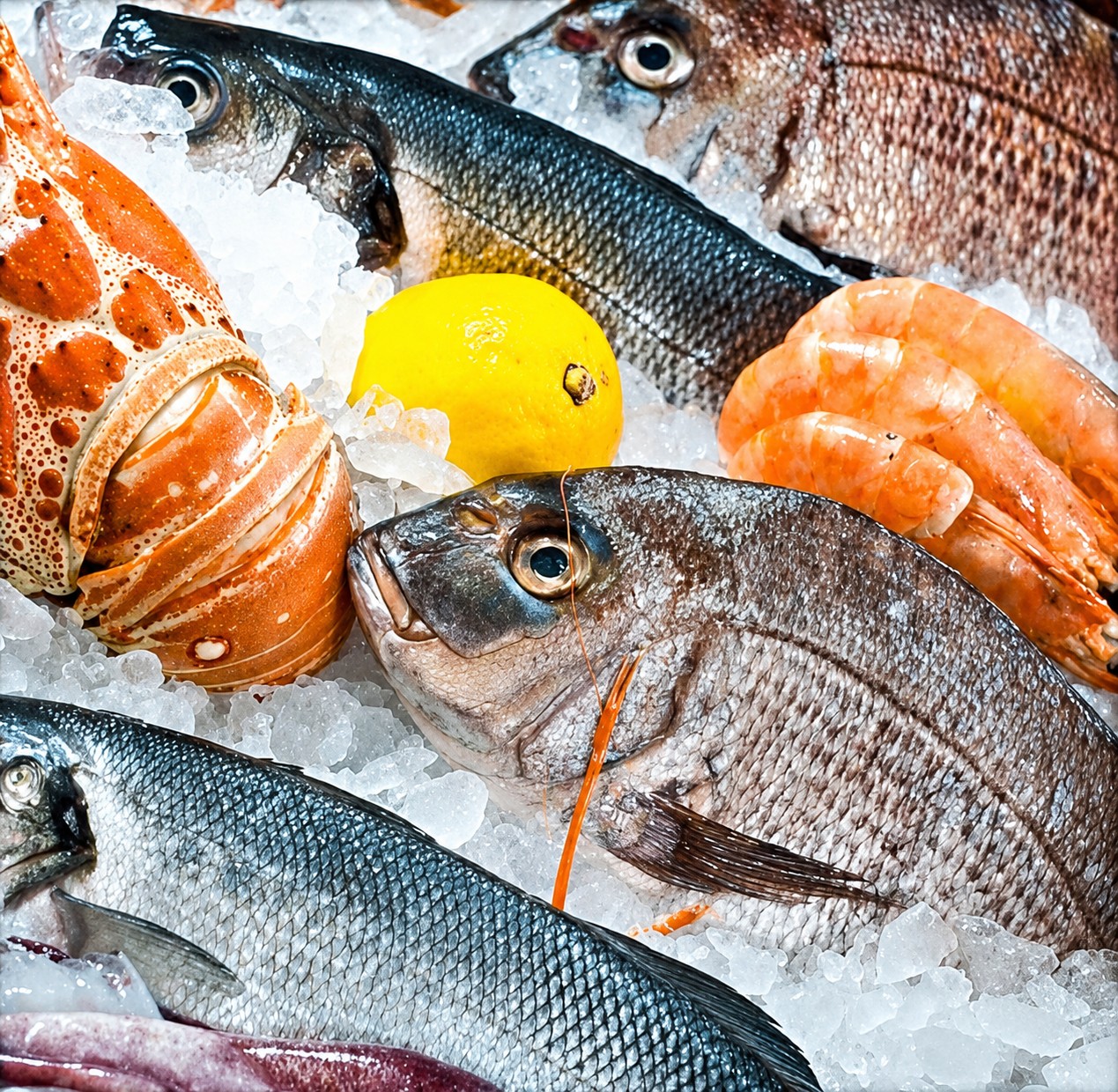 Fresh fish on ice at Paragadi